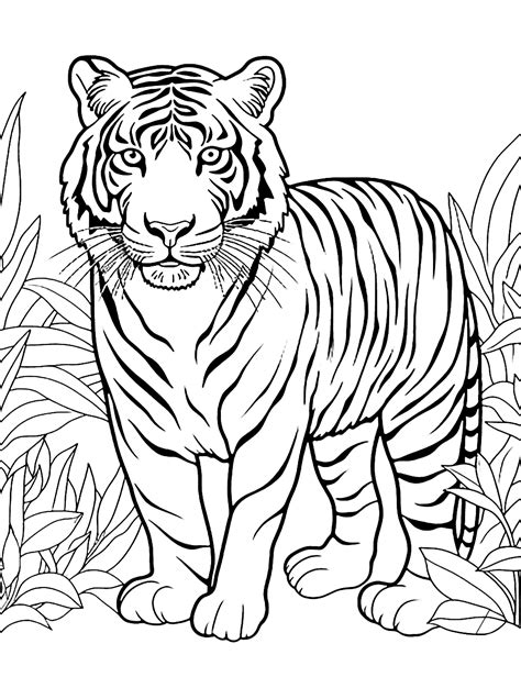 Getting Started: Finding Your Perfect Animal Coloring Pages