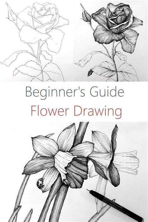 Getting Started: Master the Basics of Realistic Flower Drawing