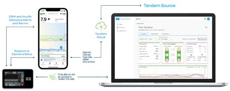 Getting Started: Navigating the Source Tandem Ecosystem