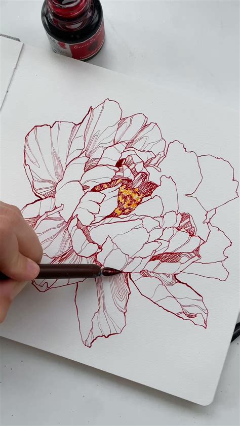 Getting Started: Your Ink Drawing Essentials