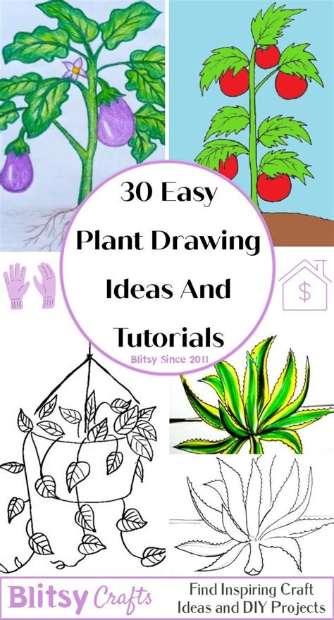 Getting Started with Basic Plant Drawing