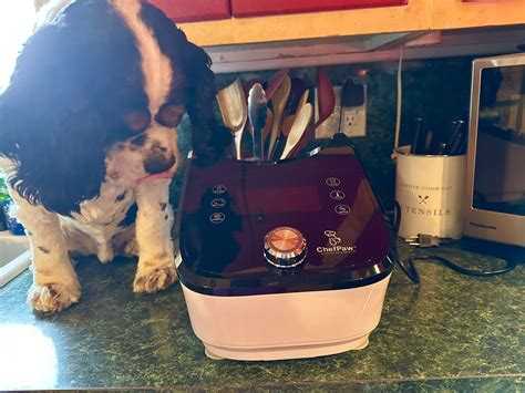 Getting Started with Your Dog Food Maker