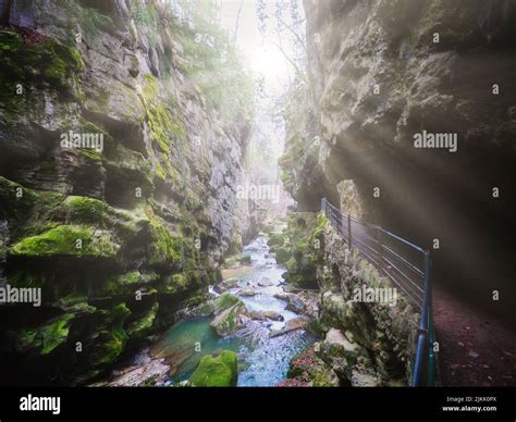 Getting To The Gorge