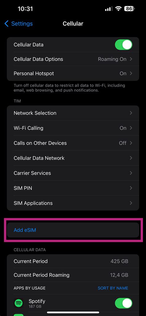 Getting Your eSIM Information