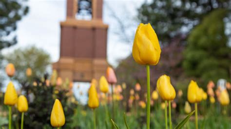 Getting a Diagnosis and Seeking Help