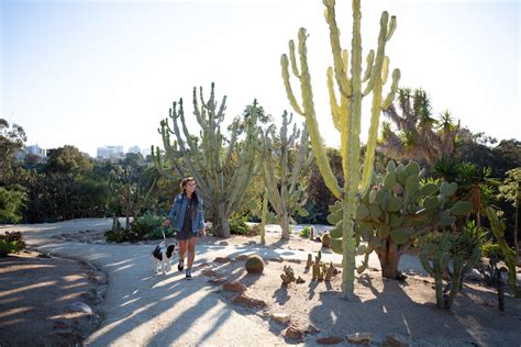 Getting to Cactus Park