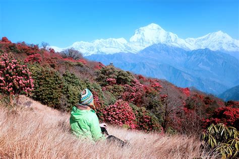 Ghorepani trekking