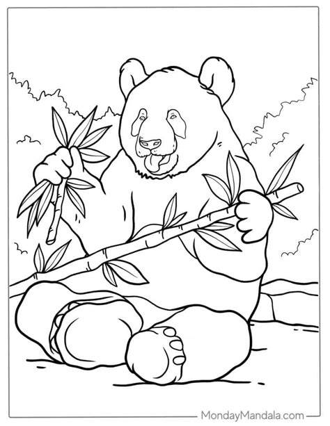 Giant Panda Coloring Pages