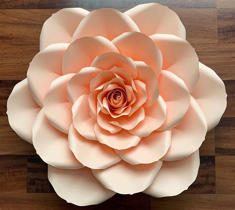 Download Giant Paper Flower Composition Files Free PSD Mockups