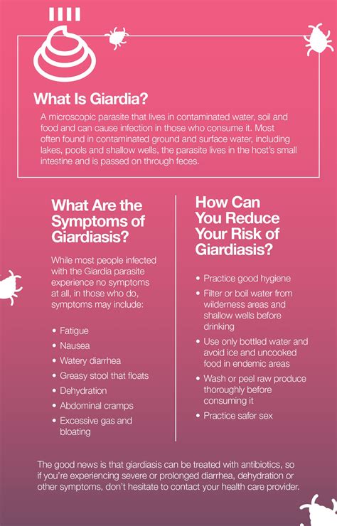 Giardia Symptoms in Humans: What to Watch For