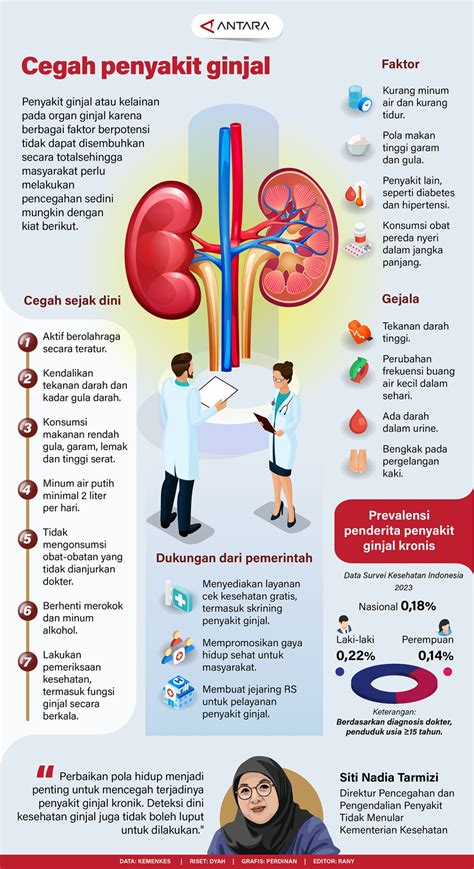 Ginjal & Etilen Glikol: Efek Samping & Penanganan