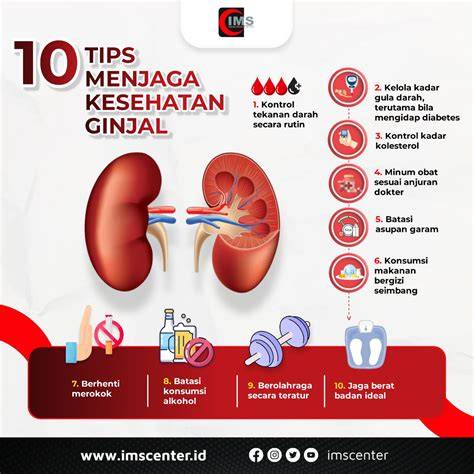 Ginjal sehat