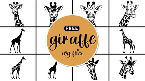 Discover the Majestic World of Giraffes with our Free Svg Files - Get animated with our Giraffe Cricut Downloads!