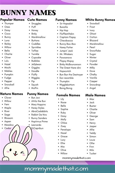Girl Bunny Names That Start With H