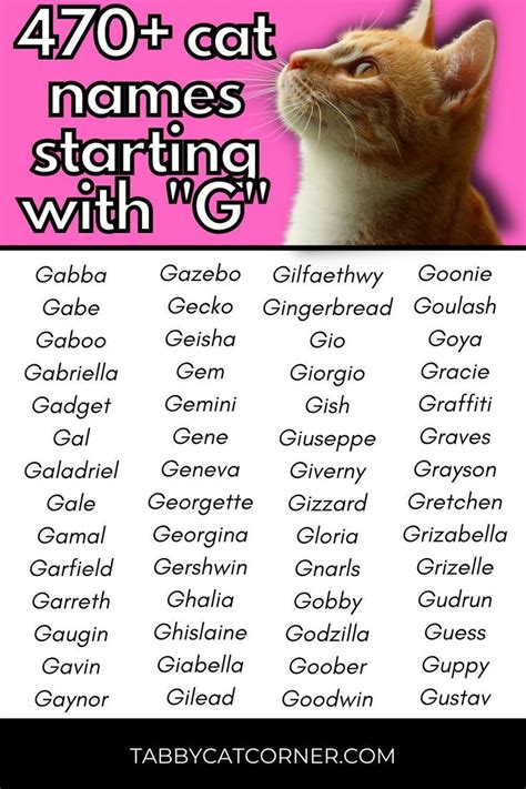 Girl Cat Names That Start With G