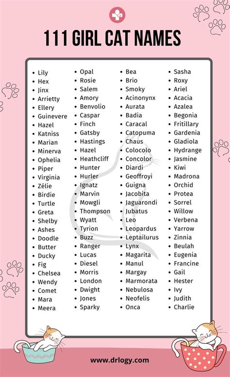 Girl Cat Names That Start With H