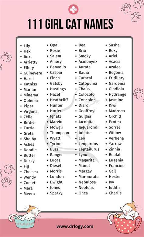 Girl Cat Names That Start With U