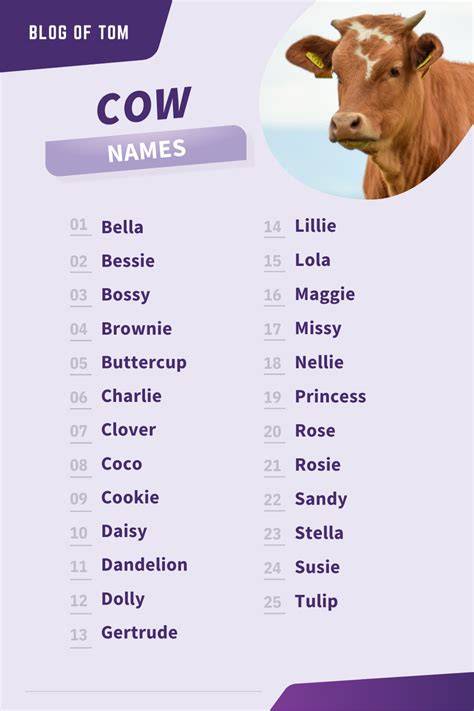 Girl Cow Names That Start With B