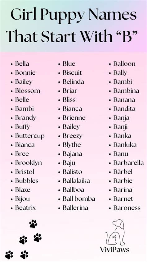 Girl Dog Names That Begin With A B