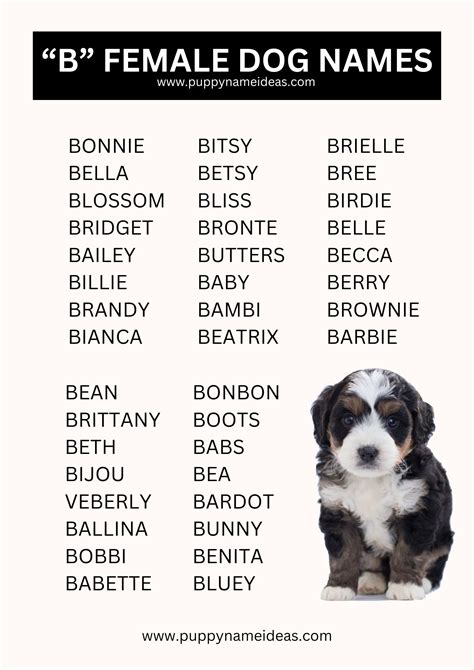 Girl Dog Names That Start W B