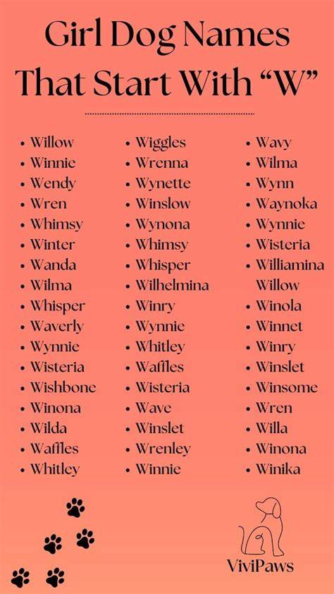 Girl Dog Names That Start W D