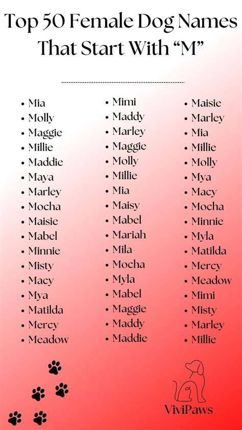 Girl Dog Names That Start W M