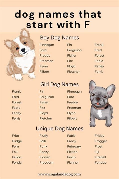 Girl Dog Names That Start With A F