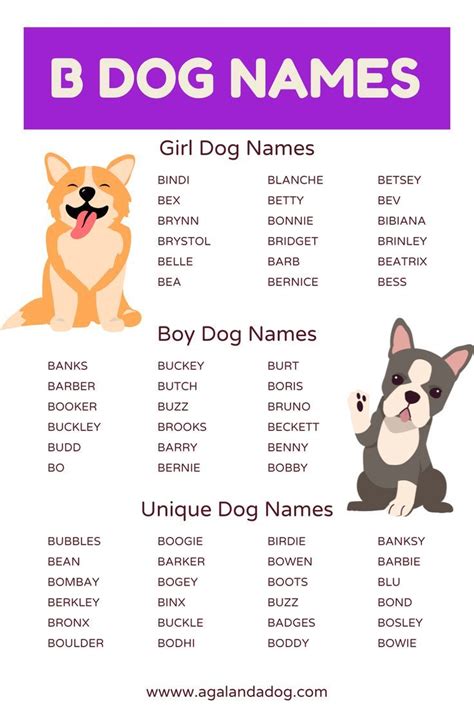 Girl Dog Names That Start With Br