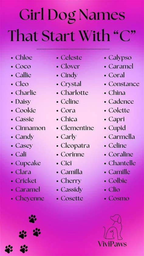 Girl Dog Names That Start With C