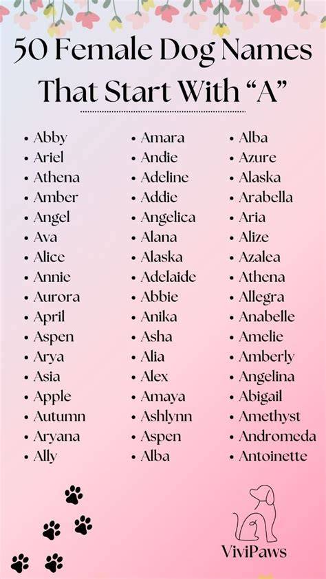 Girl Dog Names That Start With D