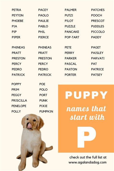 Girl Dog Names That Start With P