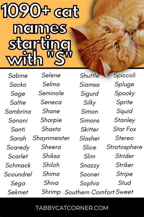 Girl Kitten Names That Begin With S