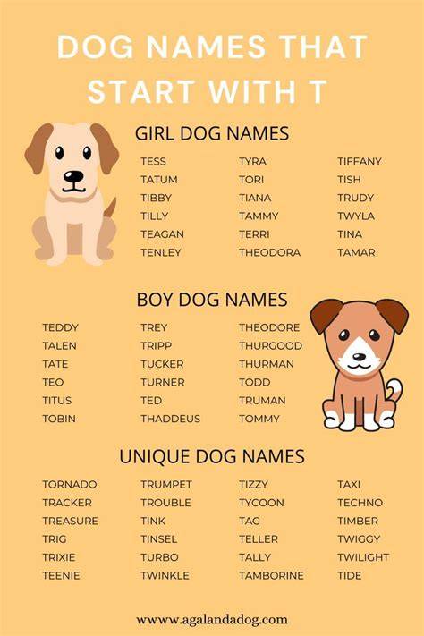 Girl Names For Dogs That Start With T
