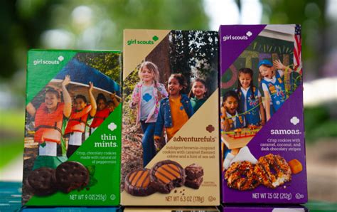 Girl Scout Cookies Smiling Girl
