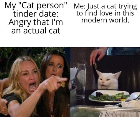 Girl Yelling At Cat Meme Reddit