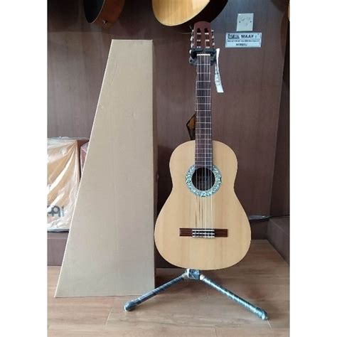 Gitar Brunswick Harga