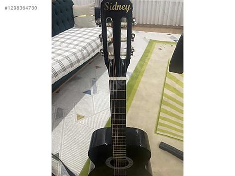 Gitar Sidney 6d