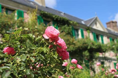 Giverny Tour Options
