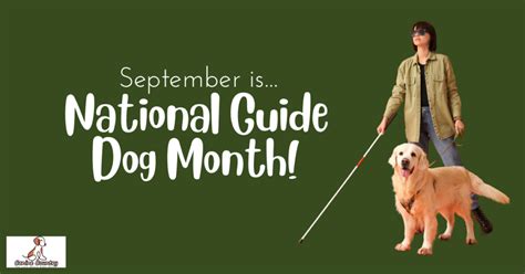 Giving Back During National Dog Month