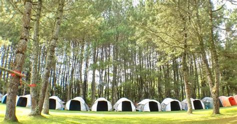 Pine Forest Glamping Ciwidey
