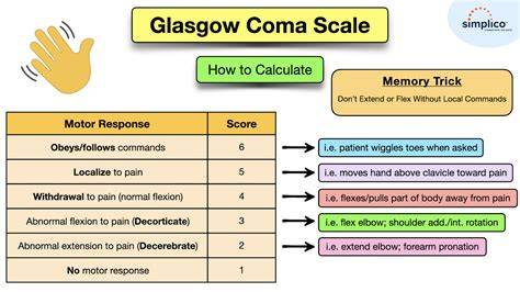 Glasgow Coma Score Chart