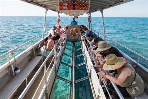 Glass Bottom Boat Views