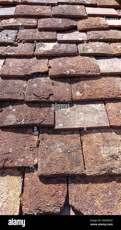 Glass Tile Ancient House