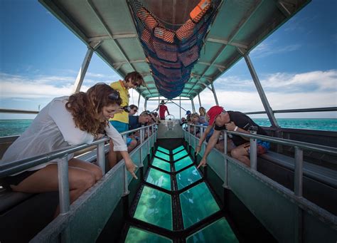 Interior view of a glass bottom boat
