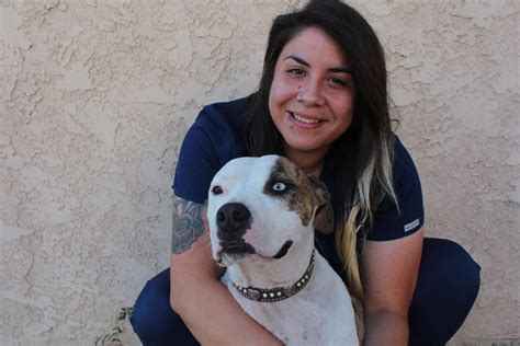 Top-notch Care for Your Furry Friends: Glendale Small Animal Hospital