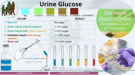 Glucose Levels In Urine Chart