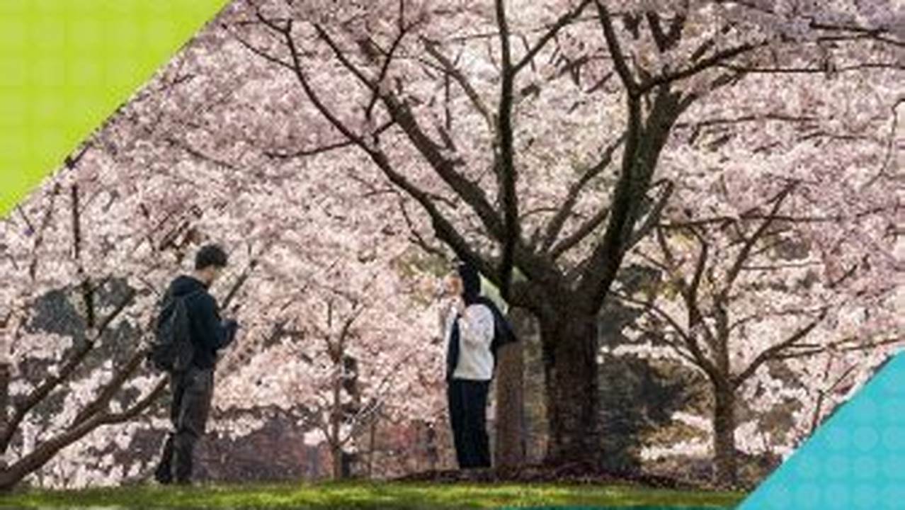 Gmu Spring 2025 Course Catalog