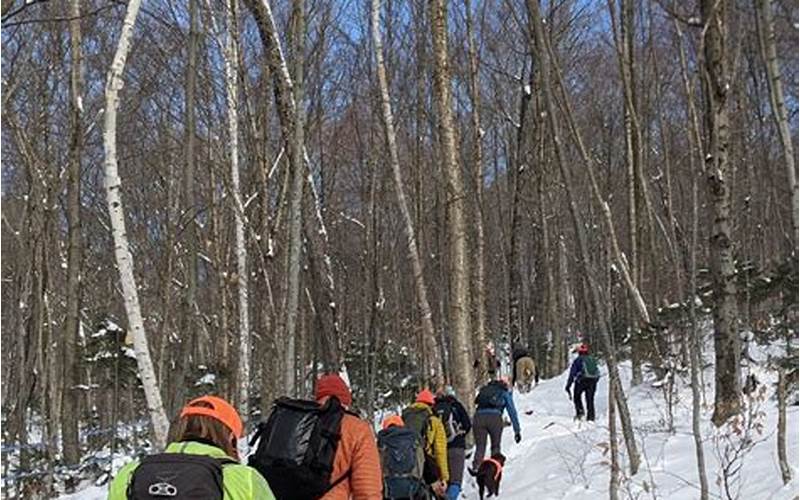 Go On A Winter Hike