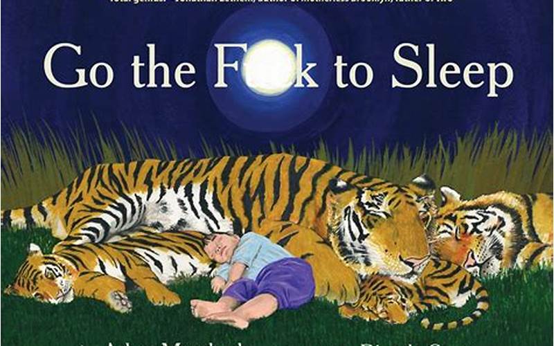 Go The F**K To Sleep Book