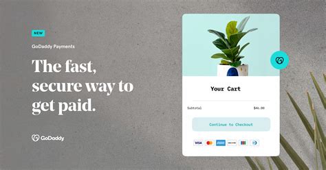 GoDaddy payments